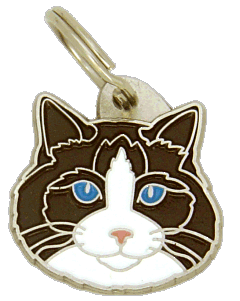Ragdoll seal bicolor - Placa grabada, placas identificativas para gatos grabadas MjavHov.